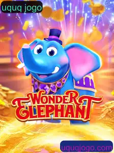 Descubra o Fascinante Mundo de WonderElephant